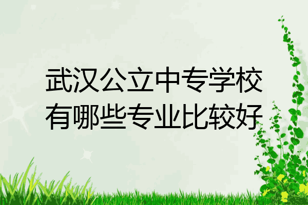 武汉公立中专学校有哪些专业比较好