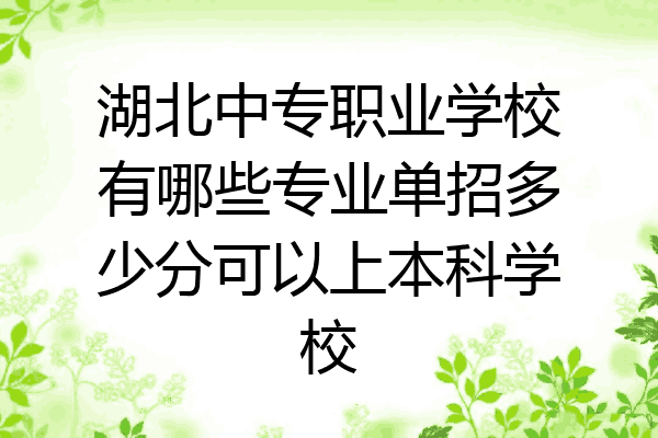湖北中专职业学校有哪些专业单招多少分可以上本科学校