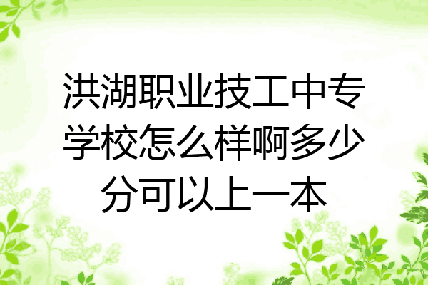 洪湖职业技工中专学校怎么样啊多少分可以上一本