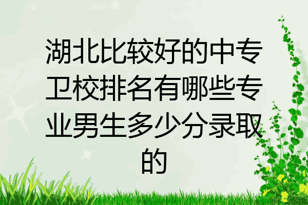 湖北比较好的中专卫校排名有哪些专业男生多少分录取的