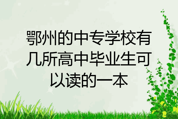鄂州的中专学校有几所高中毕业生可以读的一本