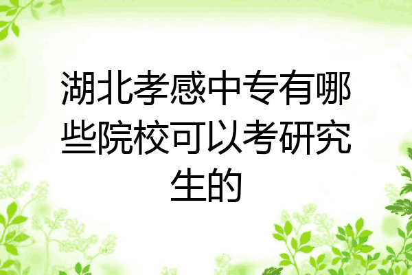 湖北孝感中专有哪些院校可以考研究生的