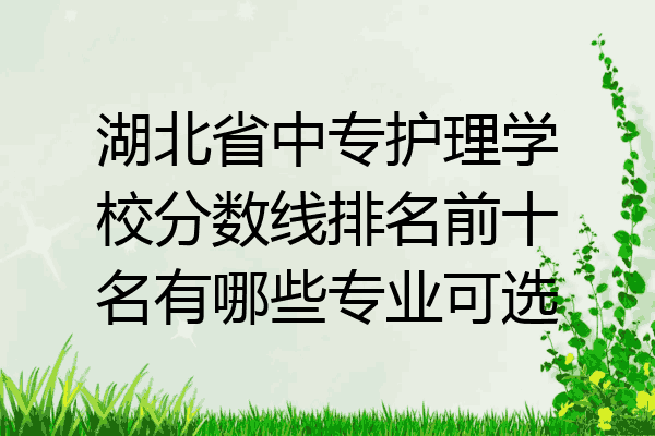 湖北省中专护理学校分数线排名前十名有哪些专业可选