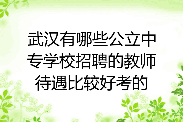 武汉有哪些公立中专学校招聘的教师待遇比较好考的