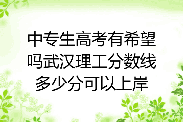 中专生高考有希望吗武汉理工分数线多少分可以上岸
