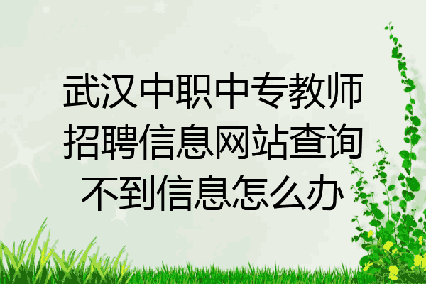 武汉中职中专教师招聘信息网站查询不到信息怎么办