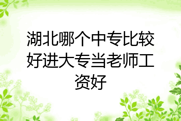 湖北哪个中专比较好进大专当老师工资好