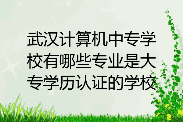 武汉计算机中专学校有哪些专业是大专学历认证的学校