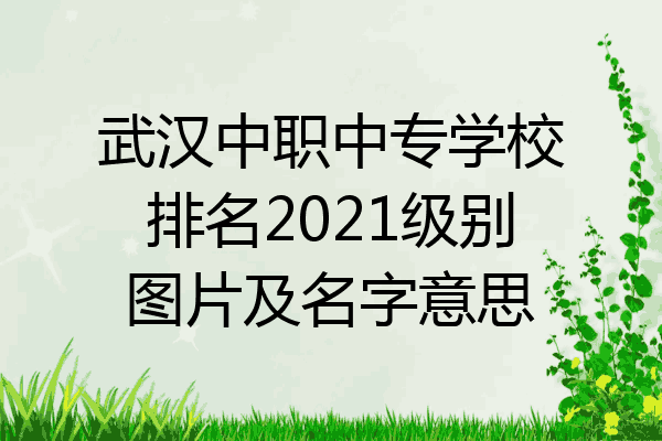 武汉中职中专学校排名2021级别图片及名字意思