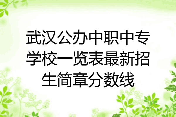 武汉公办中职中专学校一览表最新招生简章分数线