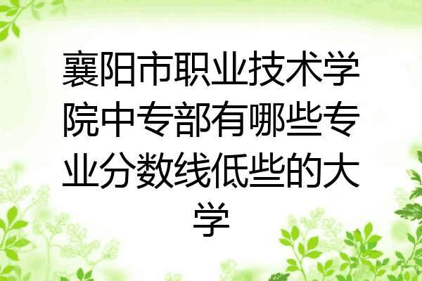襄阳市职业技术学院中专部有哪些专业分数线低些的大学