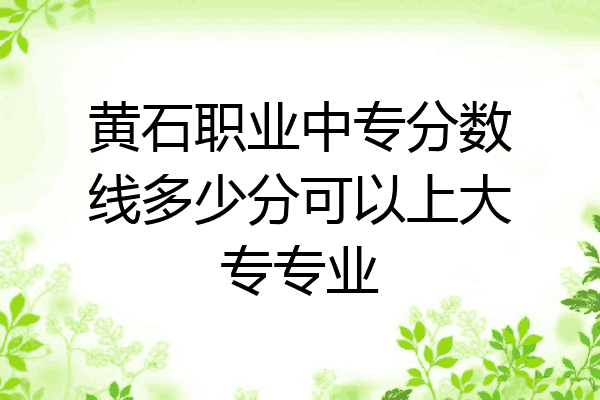 黄石职业中专分数线多少分可以上大专专业