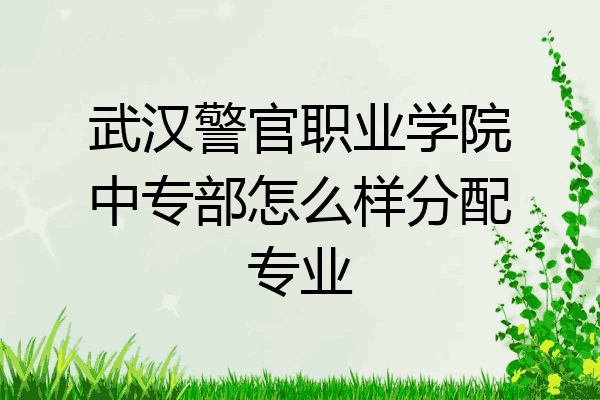 武汉警官职业学院中专部怎么样分配专业