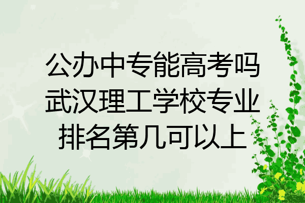 公办中专能高考吗武汉理工学校专业排名第几可以上