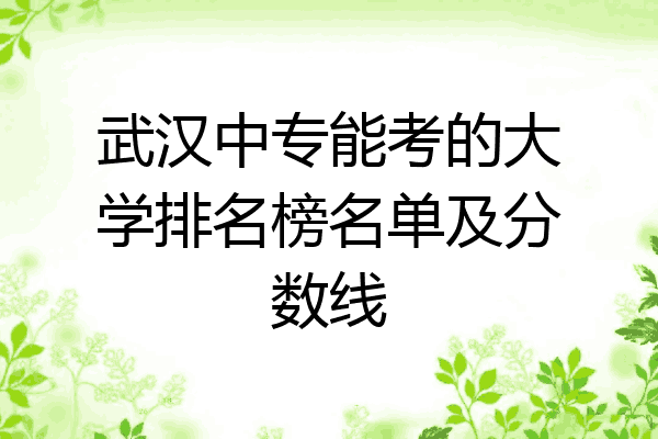 武汉中专能考的大学排名榜名单及分数线