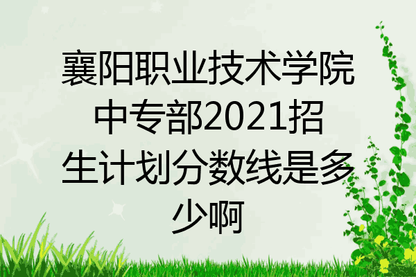 襄阳职业技术学院中专部2021招生计划分数线是多少啊