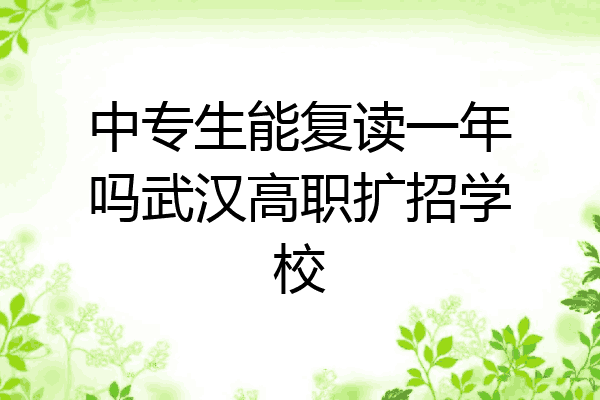 中专生能复读一年吗武汉高职扩招学校
