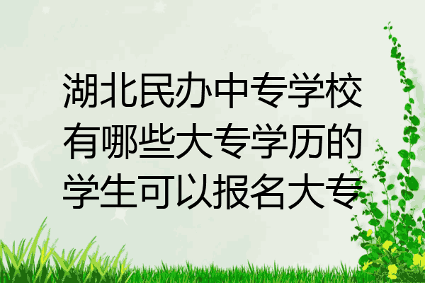 湖北民办中专学校有哪些大专学历的学生可以报名大专