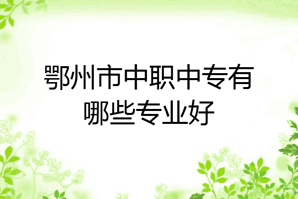 鄂州市中职中专有哪些专业好