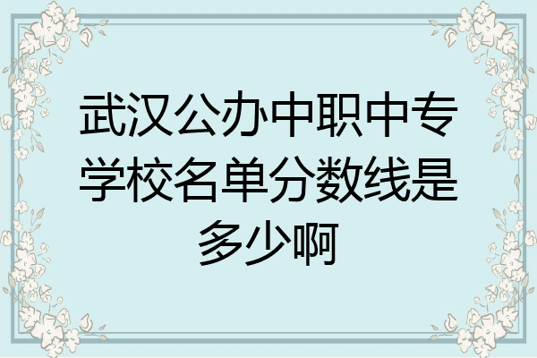 武汉公办中职中专学校名单分数线是多少啊