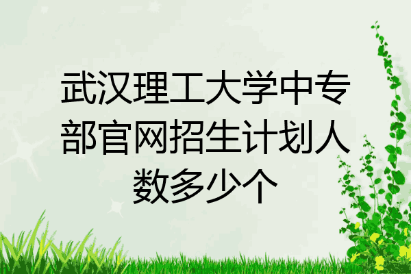 武汉理工大学中专部官网招生计划人数多少个