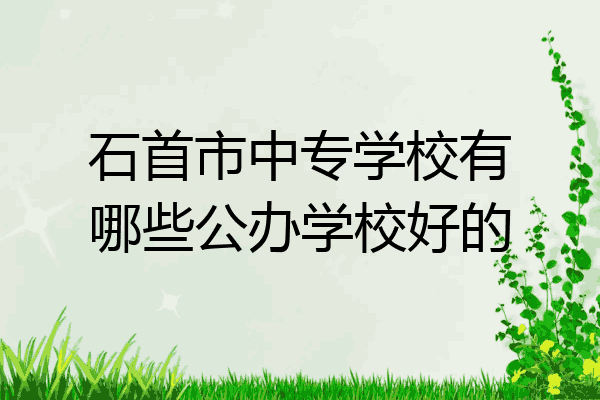 石首市中专学校有哪些公办学校好的
