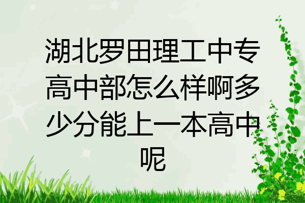 湖北罗田理工中专高中部怎么样啊多少分能上一本高中呢