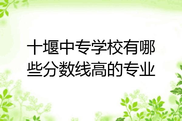 十堰中专学校有哪些分数线高的专业