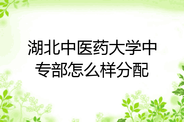 湖北中医药大学中专部怎么样分配