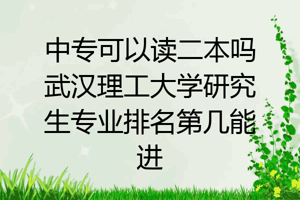 中专可以读二本吗武汉理工大学研究生专业排名第几能进