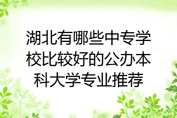 湖北有哪些中专学校比较好的公办本科大学专业推荐