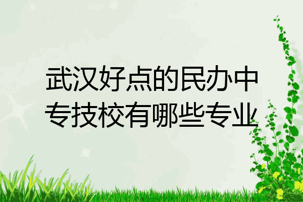 武汉好点的民办中专技校有哪些专业
