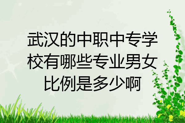 武汉的中职中专学校有哪些专业男女比例是多少啊