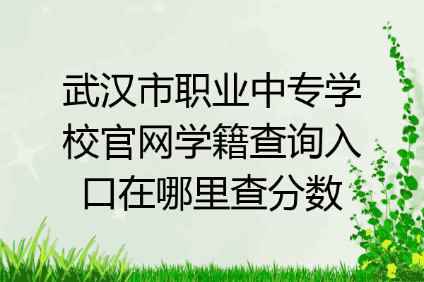 武汉市职业中专学校官网学籍查询入口在哪里查分数