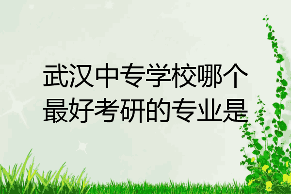 武汉中专学校哪个最好考研的专业是