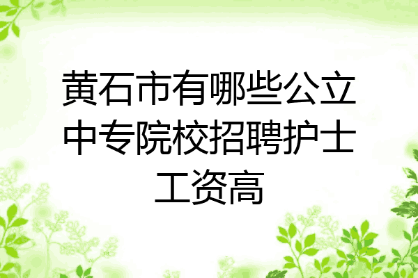黄石市有哪些公立中专院校招聘护士工资高
