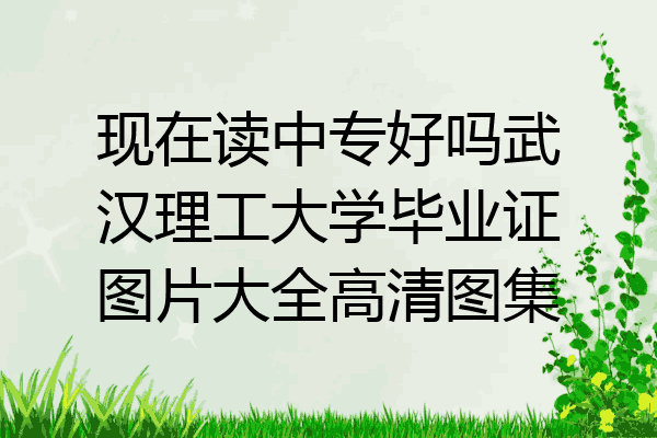 现在读中专好吗武汉理工大学毕业证图片大全高清图集