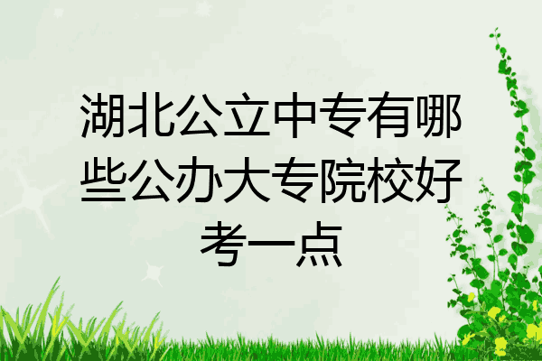 湖北公立中专有哪些公办大专院校好考一点
