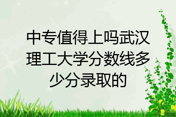 中专值得上吗武汉理工大学分数线多少分录取的