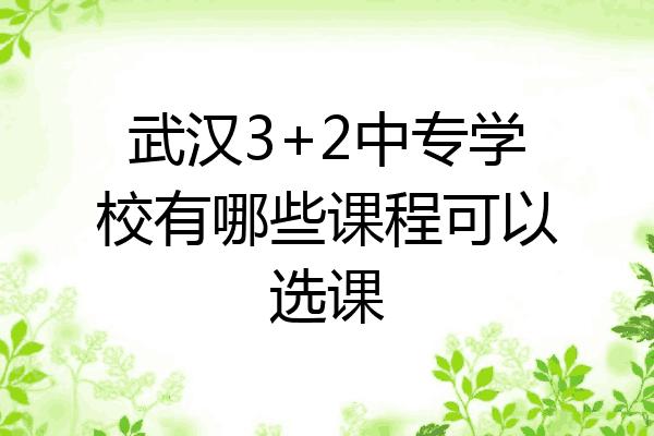 武汉3+2中专学校有哪些课程可以选课