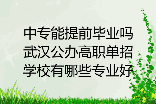 中专能提前毕业吗武汉公办高职单招学校有哪些专业好