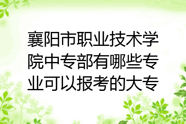 襄阳市职业技术学院中专部有哪些专业可以报考的大专