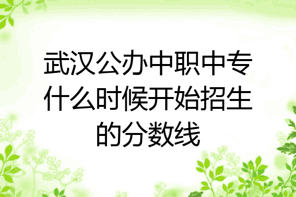 武汉公办中职中专什么时候开始招生的分数线