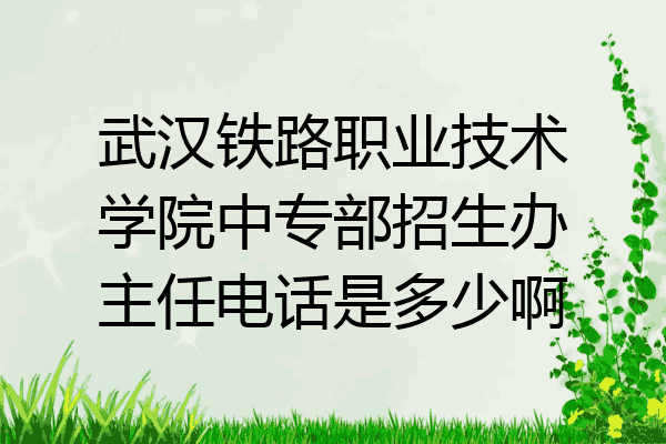 武汉铁路职业技术学院中专部招生办主任电话是多少啊