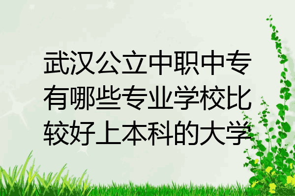 武汉公立中职中专有哪些专业学校比较好上本科的大学