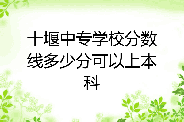 十堰中专学校分数线多少分可以上本科