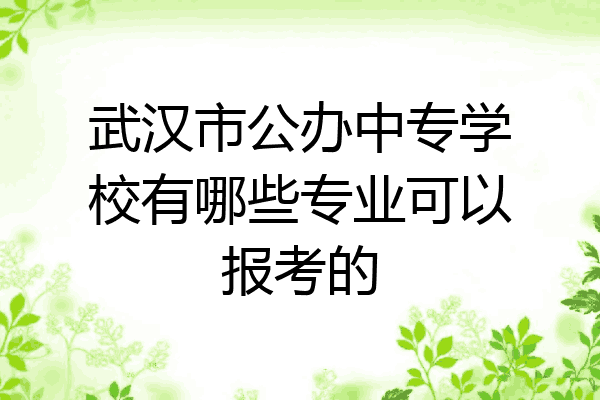 武汉市公办中专学校有哪些专业可以报考的