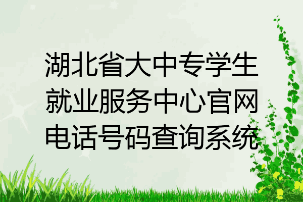 湖北省大中专学生就业服务中心官网电话号码查询系统
