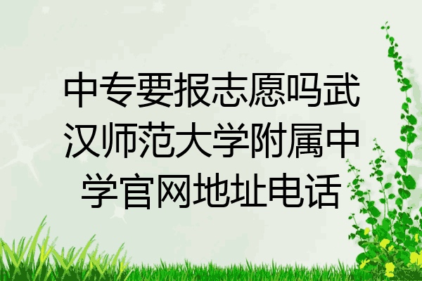 中专要报志愿吗武汉师范大学附属中学官网地址电话