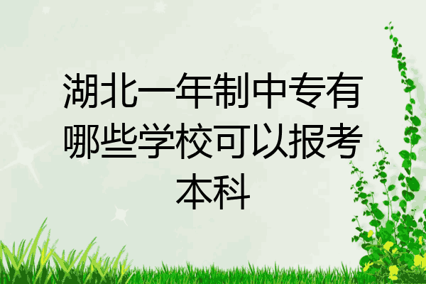 湖北一年制中专有哪些学校可以报考本科